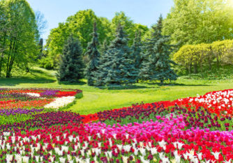Amsterdam_Keukenhof8 Amsterdam_Keukenhof8