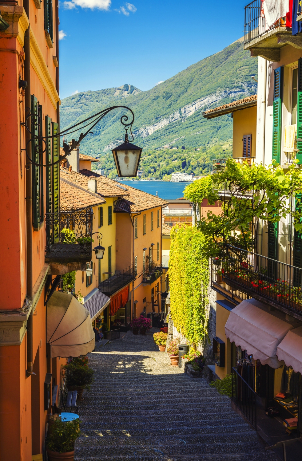 ©Michal Ludwiczak - stock.adobe.com