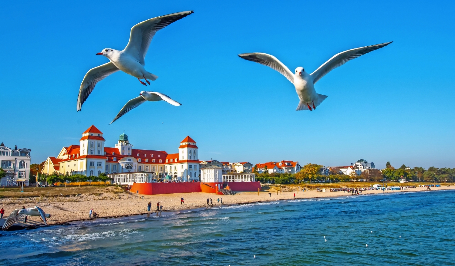 © Comofoto - stock.adobe.com