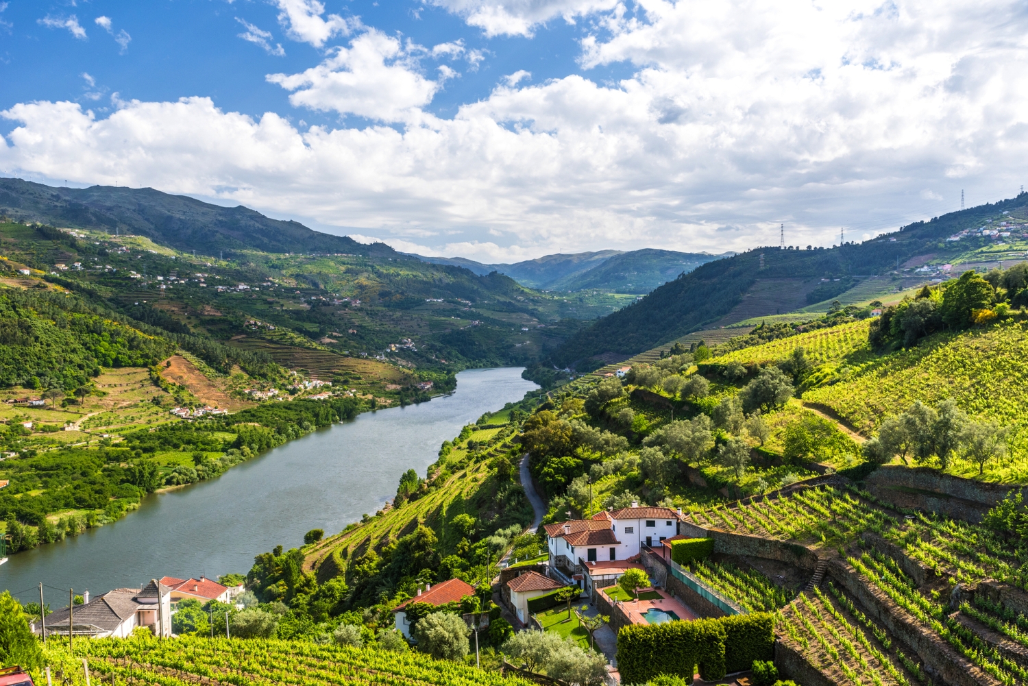 © Simon Dannhauer - stock.adobe.com