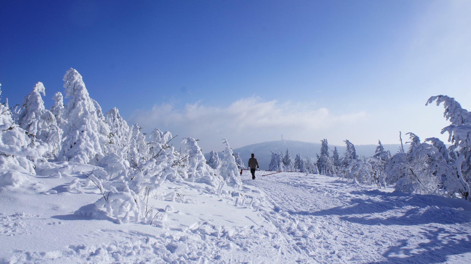 © Edith Czech - stock.adobe.com