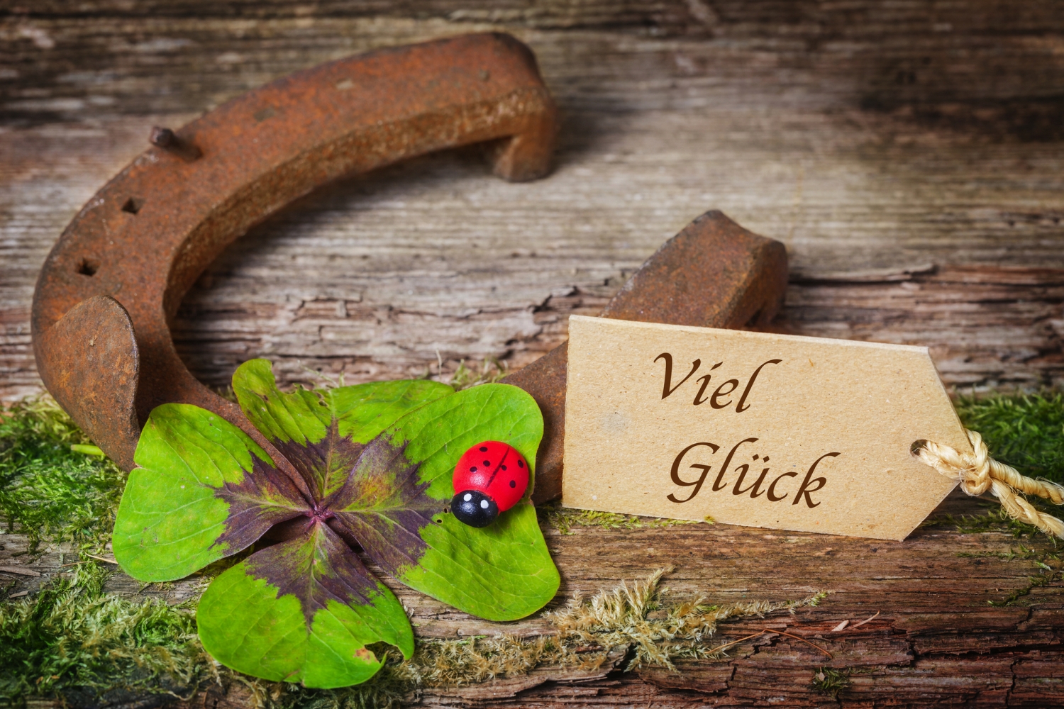 © fotoknips - stock.adobe.com