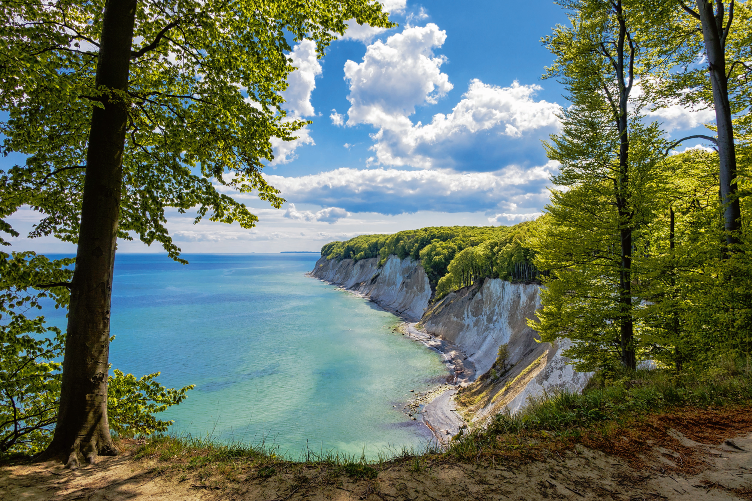 © Rico K. - Fotolia